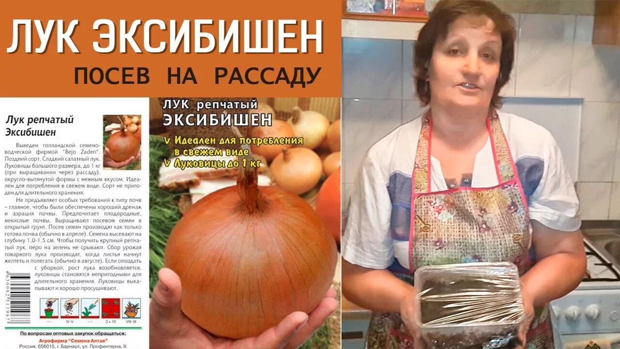 Как посеять лук эксибишен на рассаду правильно. Лук семенами Эксибишен. Лук Эксибишен семена.