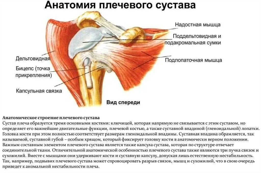 Сильная боль в плечевом суставе