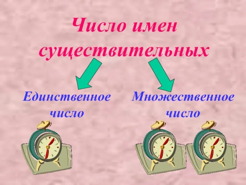 Урок число имен существительных существительные. Число имен существительных. число имён существи тель. число имени существительного. имя существительное число.