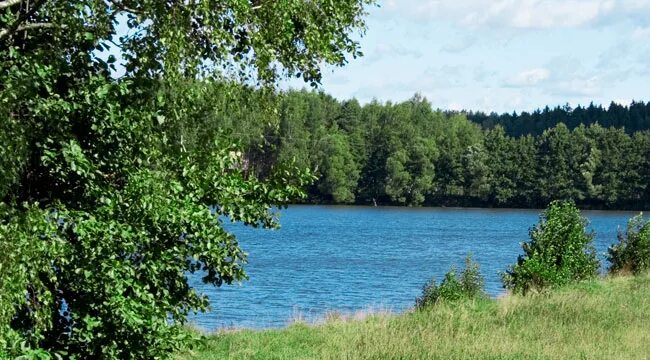 Два озера богачево. Озеро зверино псковская область. Ручей северный калининград. Деревня раево одинцовский район. Озеро плотично псковской области.