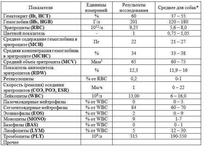 Роэ норма у детей. Общий анализ крови соэ норма. показатели соэ в крови норма у женщин. соэ в анализе крови норма у детей по возрасту. анализ крови соэ норма у детей 2 года.
