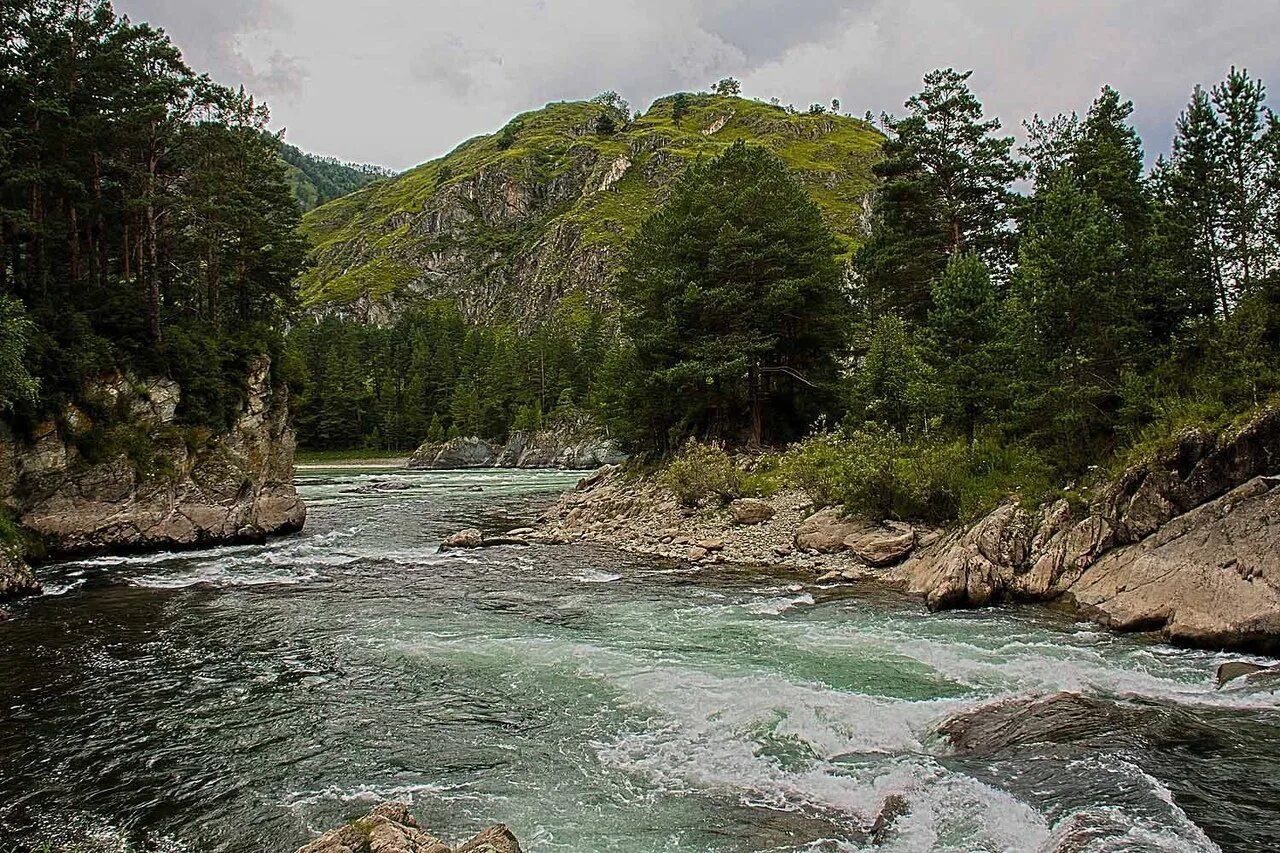 Горно алтайск река катунь. Река катунь алтай природа. Долина реки катунь горный алтай. Начало катуни алтай. Начало катуни алтай.