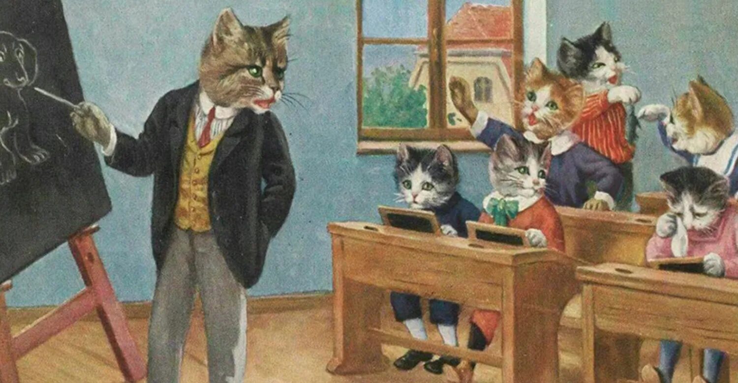 Котики в линию 5 класс учи. Кот учитель. кошачья школа. коты в школе. кот ученик.