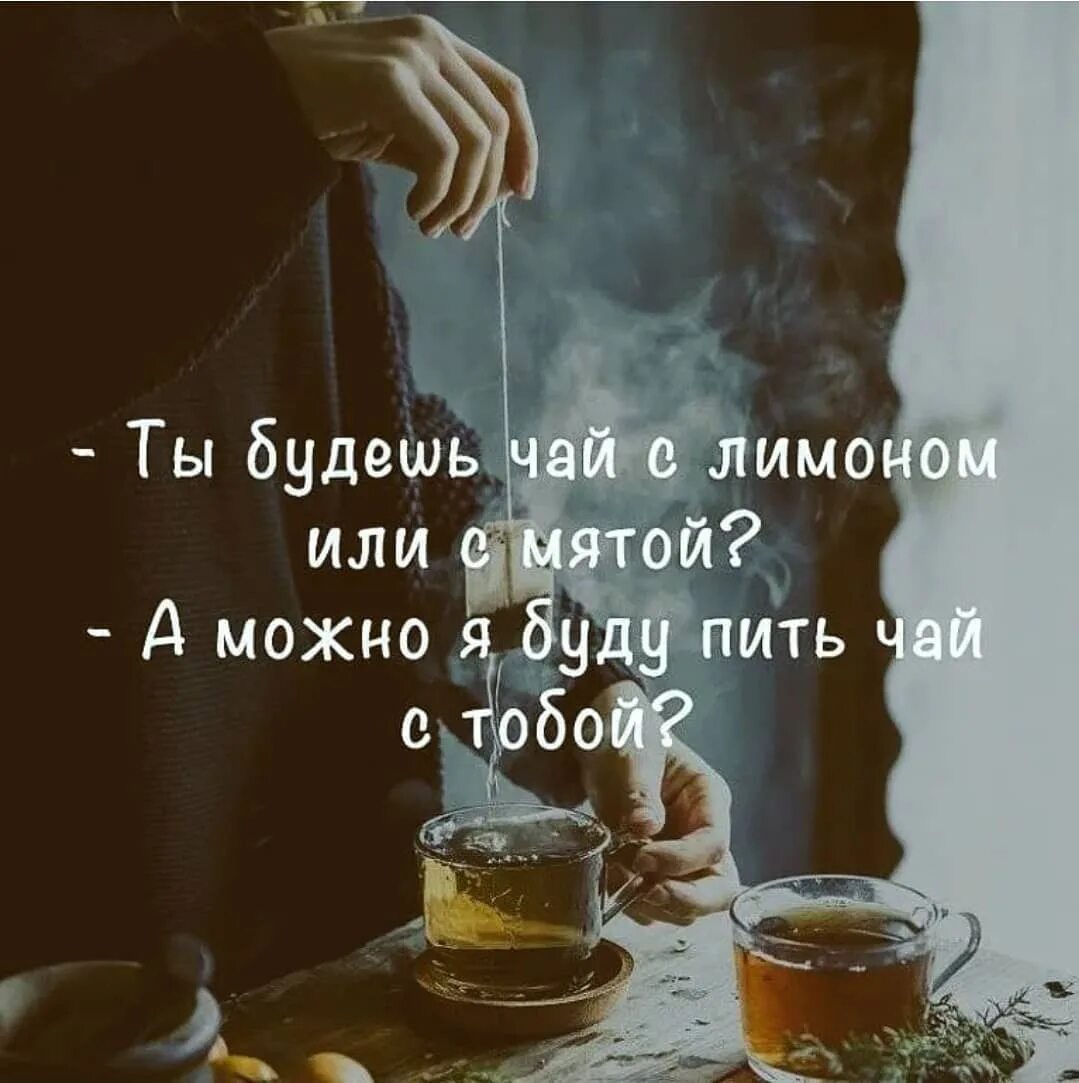 Хочешь пить чай. Цитаты про чай. чай пить будем. выпьем чаю. цитаты с чаем.