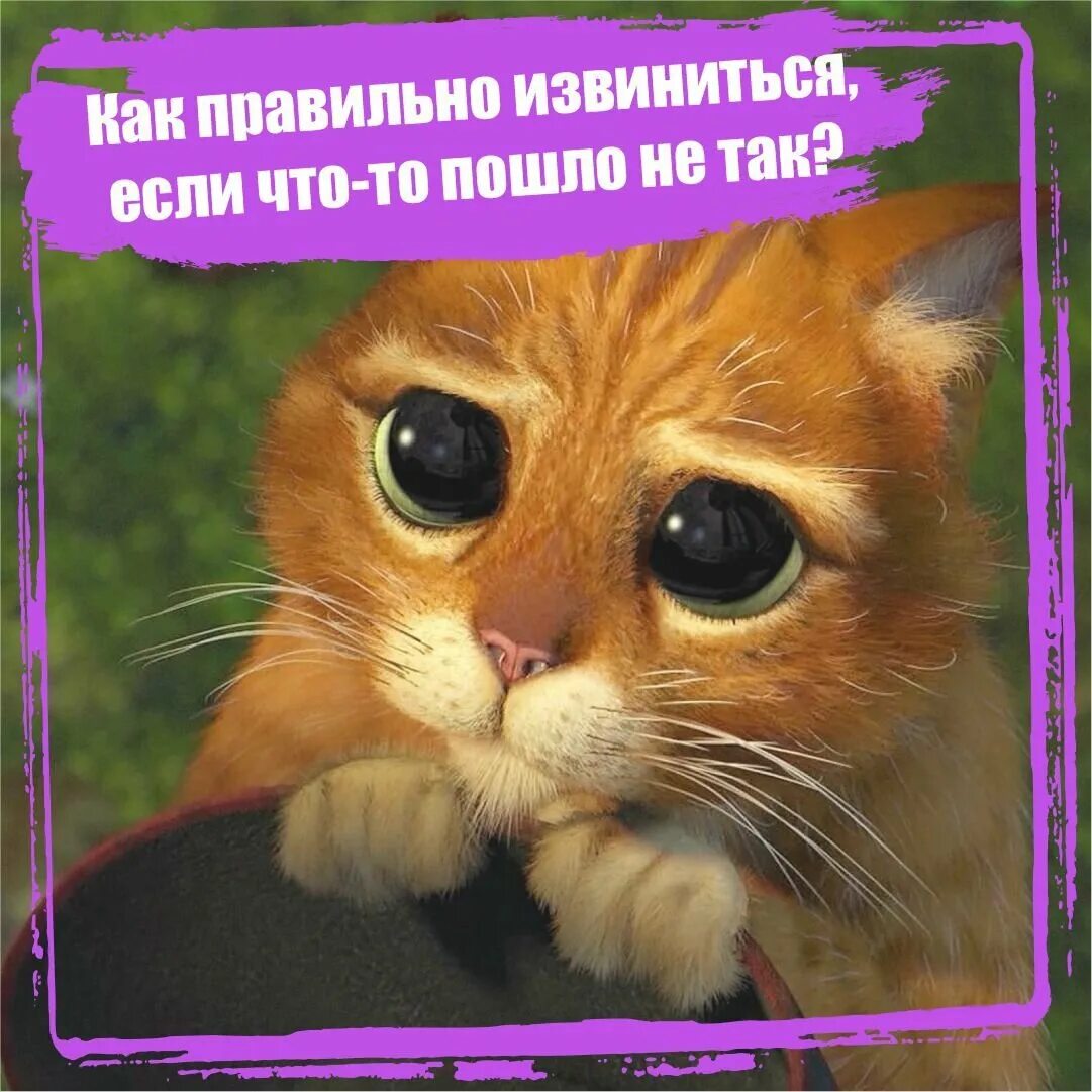 Как извиниться перед сестрой