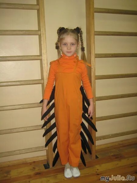 костюм сороконожки.