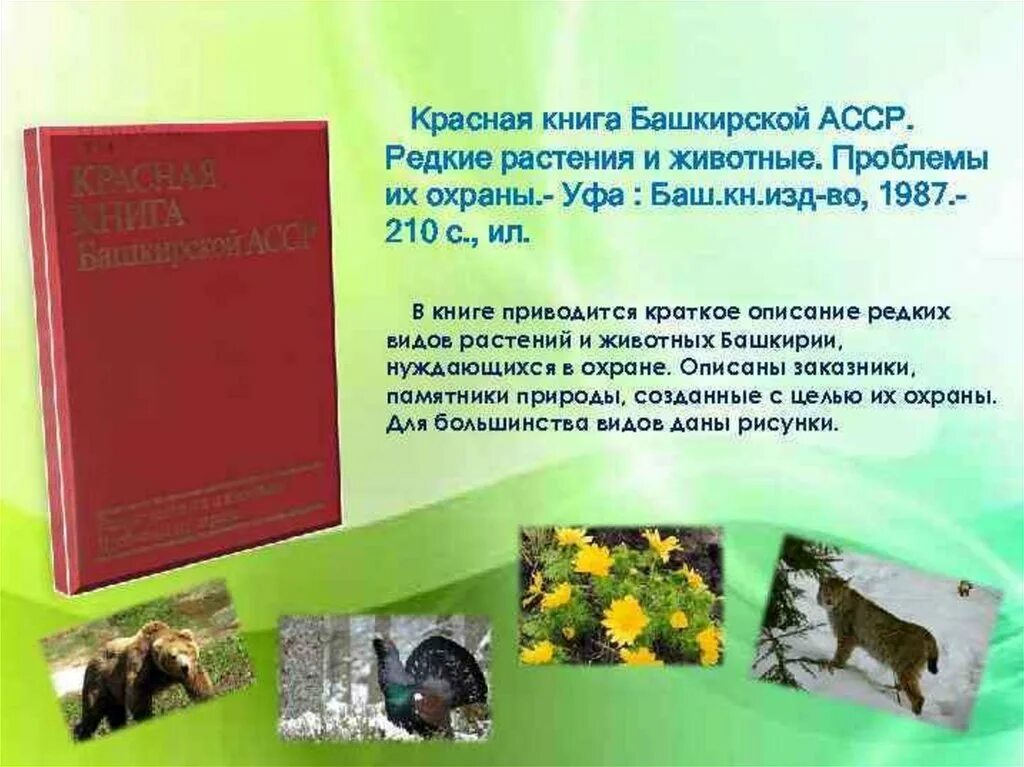 Красная книга животных нашего края. Красная книга Республики Башкортостан животных. Животные из красной книги Башкортостана список. Красная книга Республики Башкортостан книга животные. Красная книга Республики Башкортостан книга.