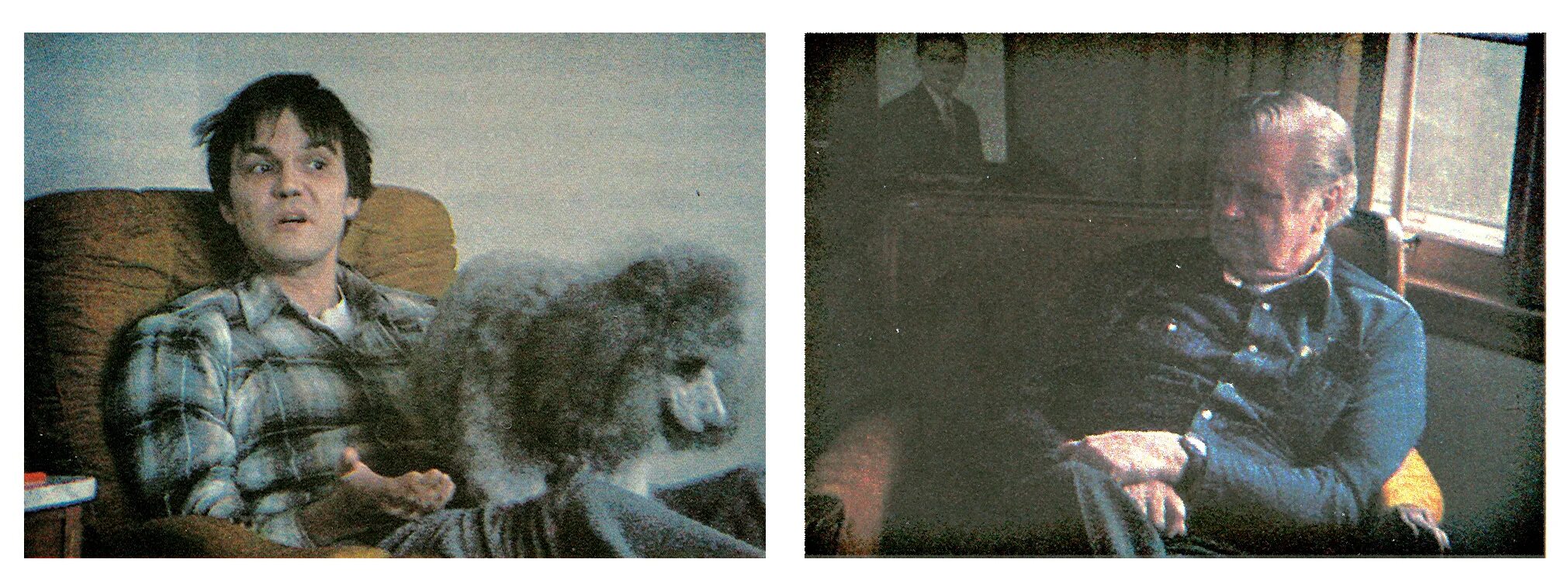 гебефреническая (гебефренная) форма. дети в психиатрической больнице. шизофрения выражение лица. сын болен шизофренией. сын болен шизофренией.