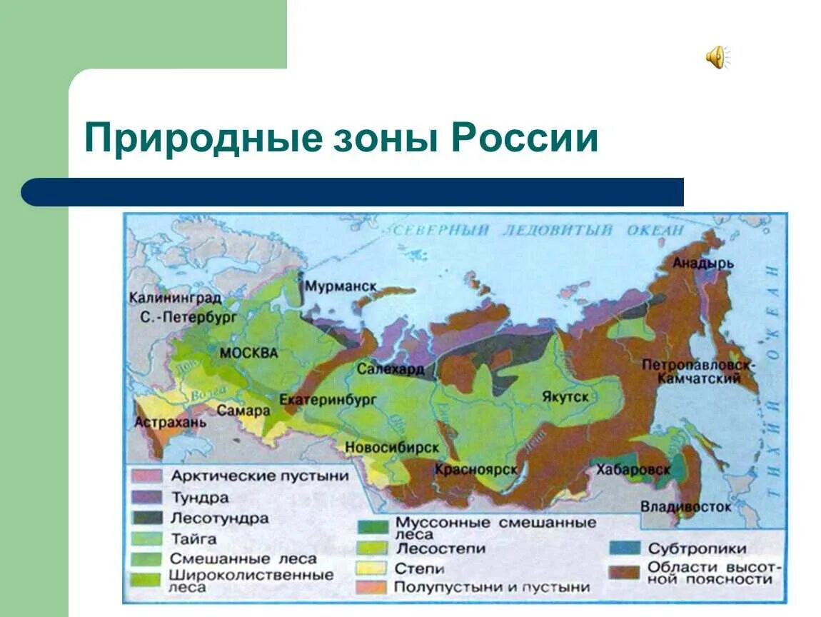 Какие природные зоны находятся на территории. Природные зоны зона лесов 4 класс. Природные зоны России тундра Тайга. Зона лесов на карте России 4 класс. Природные зоны Тайга и тундра.