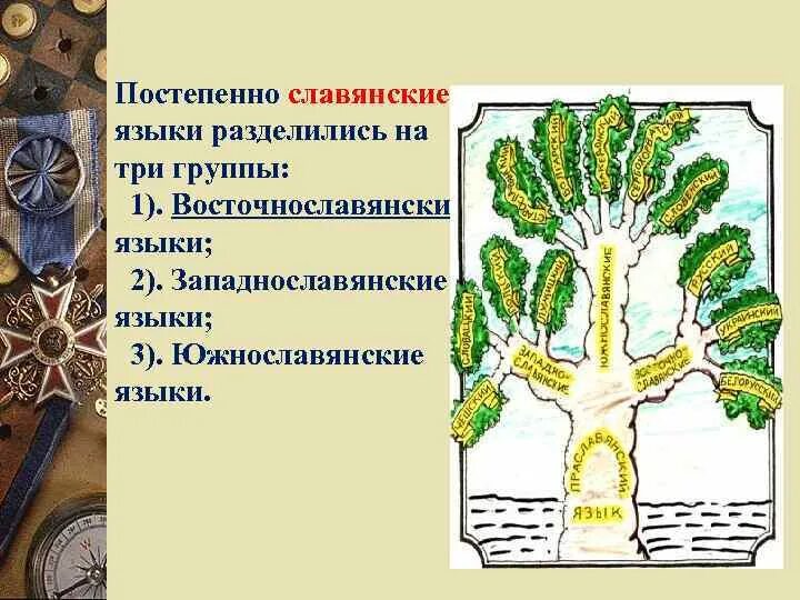 Дерево славянских языков. Ветви славянских языков. Западнославянская группа языков. Южнославянская ветвь языков.