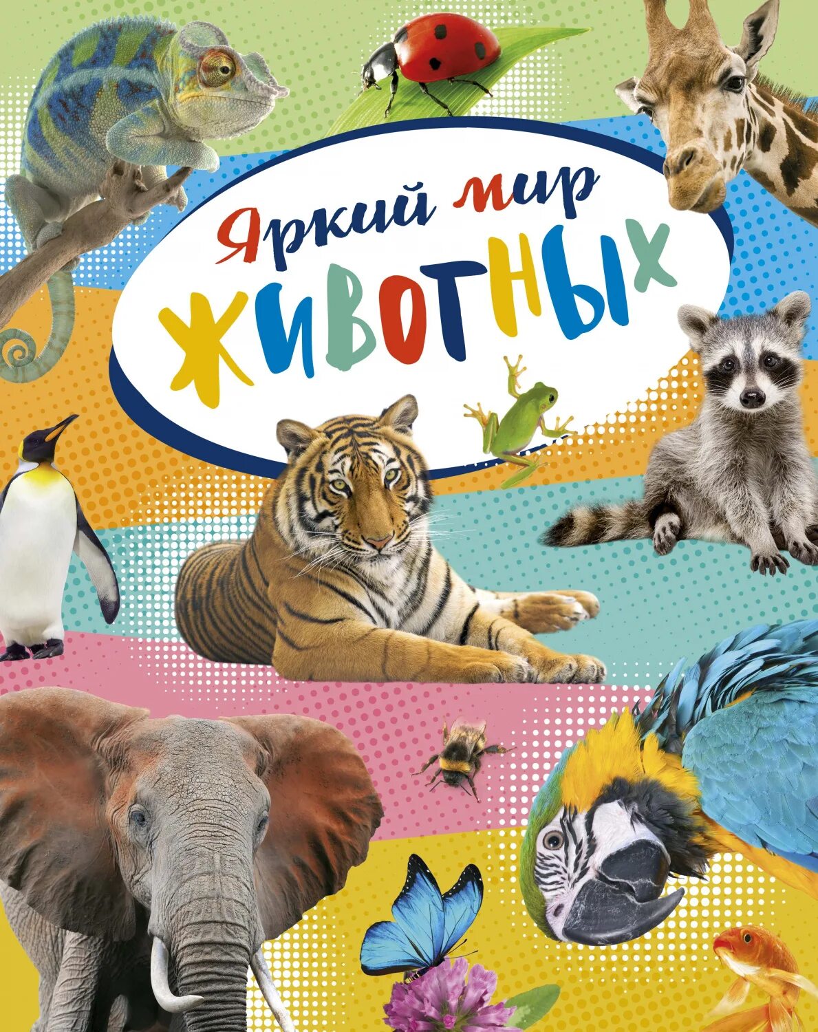 Приключения мир животных. Красочный мир животных махаон. энциклопедия животных. мир животных для детей. книга мир животных.