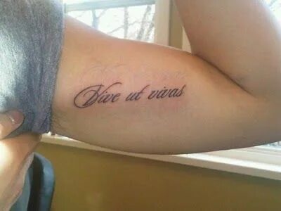 Vive ut vivas