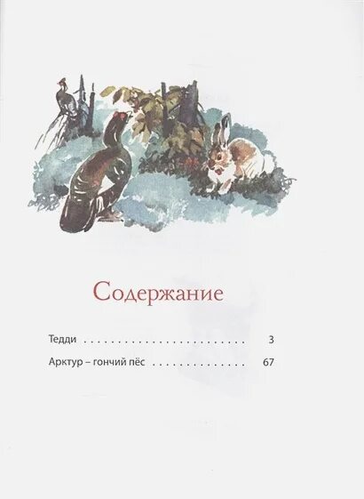 Собака сколько страниц. Книга Казаков Арктур гончий пес. Арктур - гончий пес. Арктур-гончий пес сколько страниц.