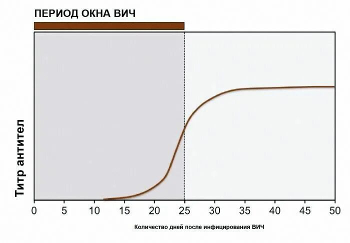 Серонегативное окно при вич. Период серонегативного окна. ВИЧ серонегативное окно. Период окна при ВИЧ-инфекции это. Длительность периода «серонегативного окна» при ВИЧ-инфекции.