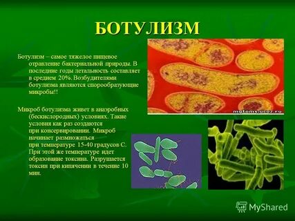 Возбудитель значение