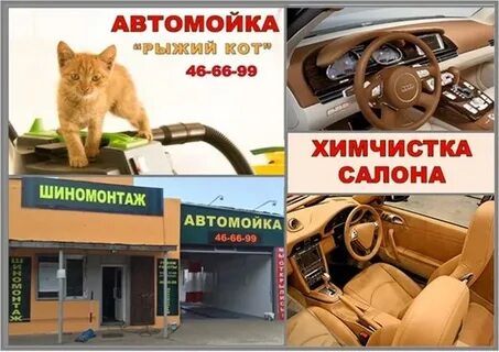 Химчистка кот