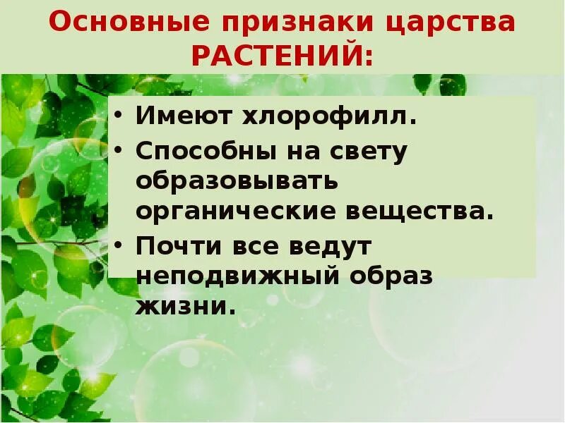 Признаки царства 5 класс биология. Признаки царства растений. Биология царство растений. Царство растений 5 класс биология. Основные признаки царства растений 5 класс биология.