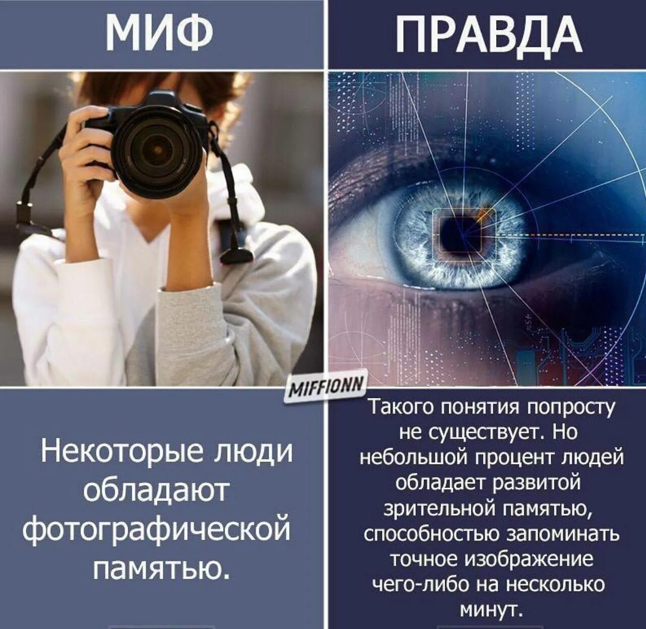 Люди с фотографической памятью. Фотографичная память. Фотографическая память миф. % Людей обладающих фотографической памятью. Человек с фотографической памятью