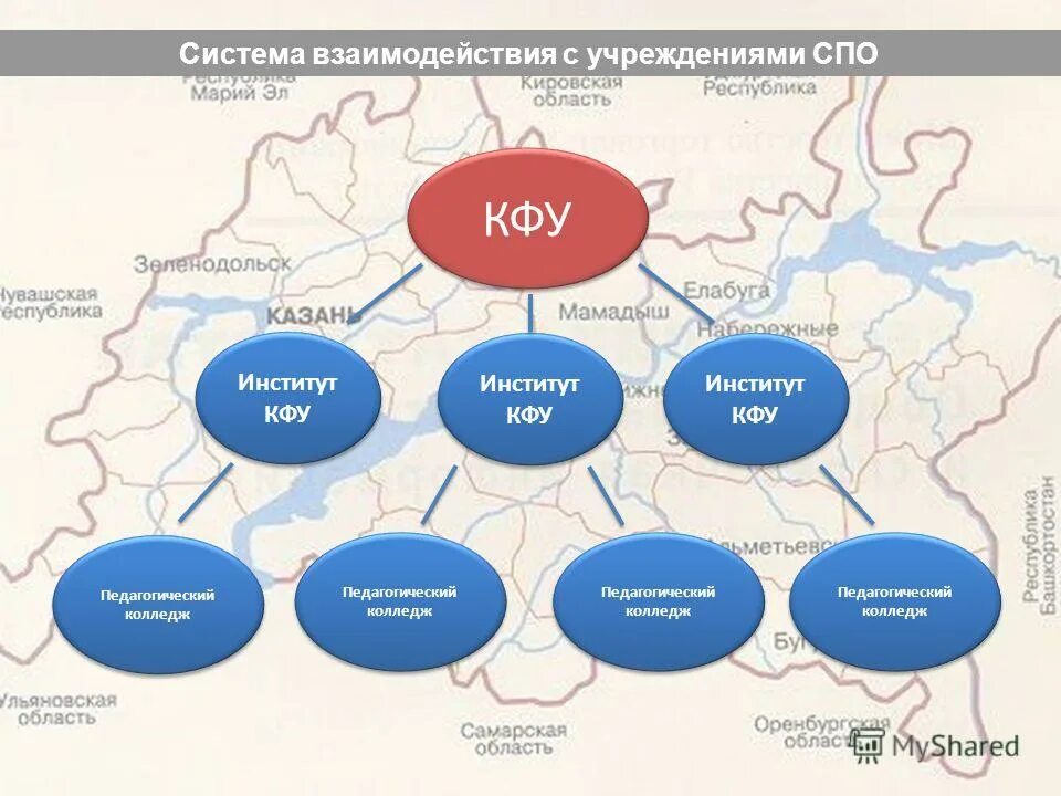 структура учебного заведения. кфу структура. структура казанского федерального университета. кфу структура. структура научного института.