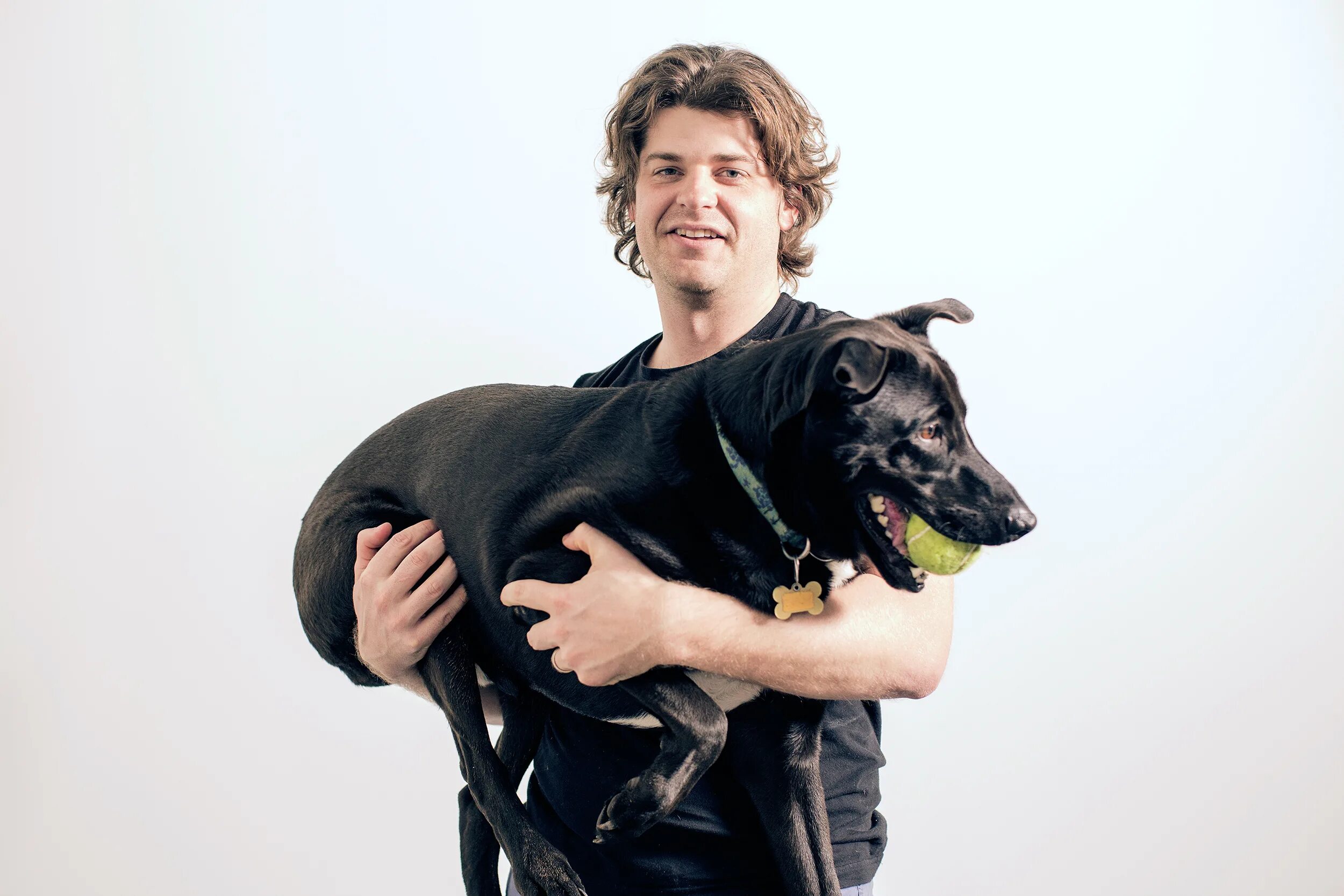 Собаки по умственным способностям. Порода собак с интеллектом. Собаки умственные способности. Чайзер бордер колли. Рейтинг самых умных животных.