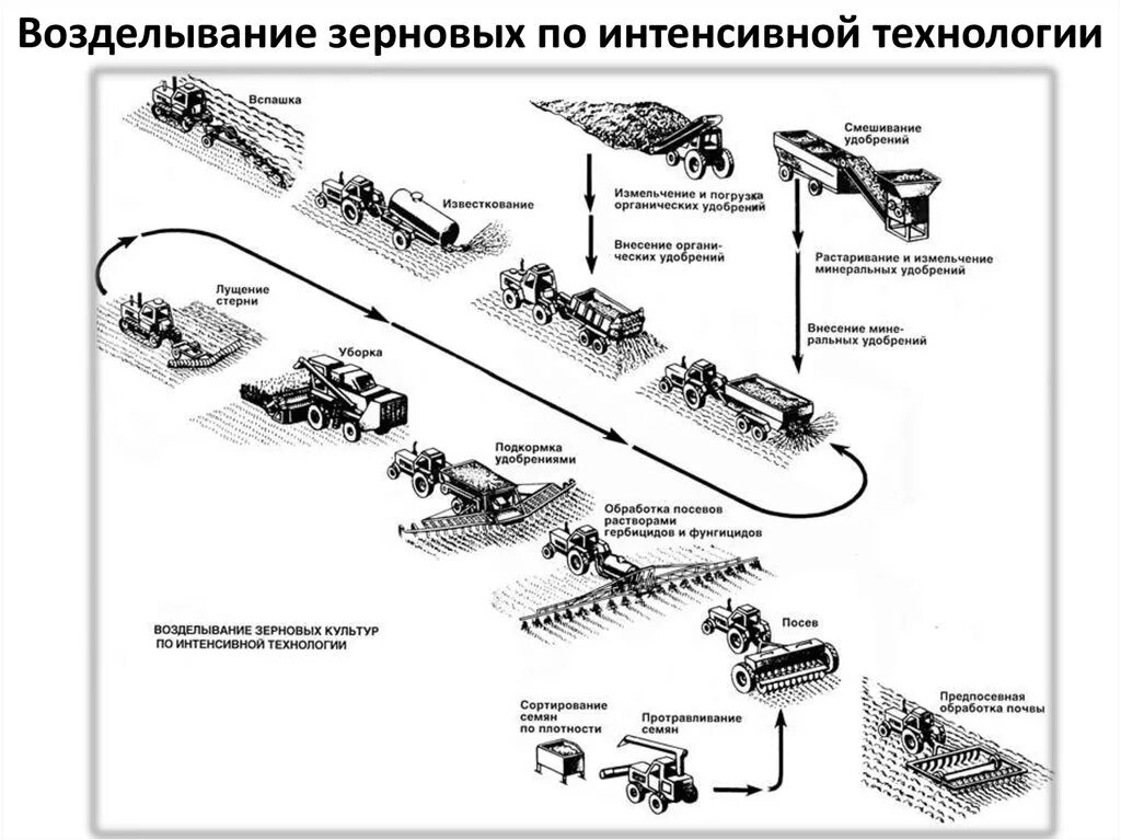 Технологическая карта сои таблица. Технологическая схема выращивания. Технологическая схема выращивания. Технологическая карта посева пшеницы. Технологическая схема возделывания сои.