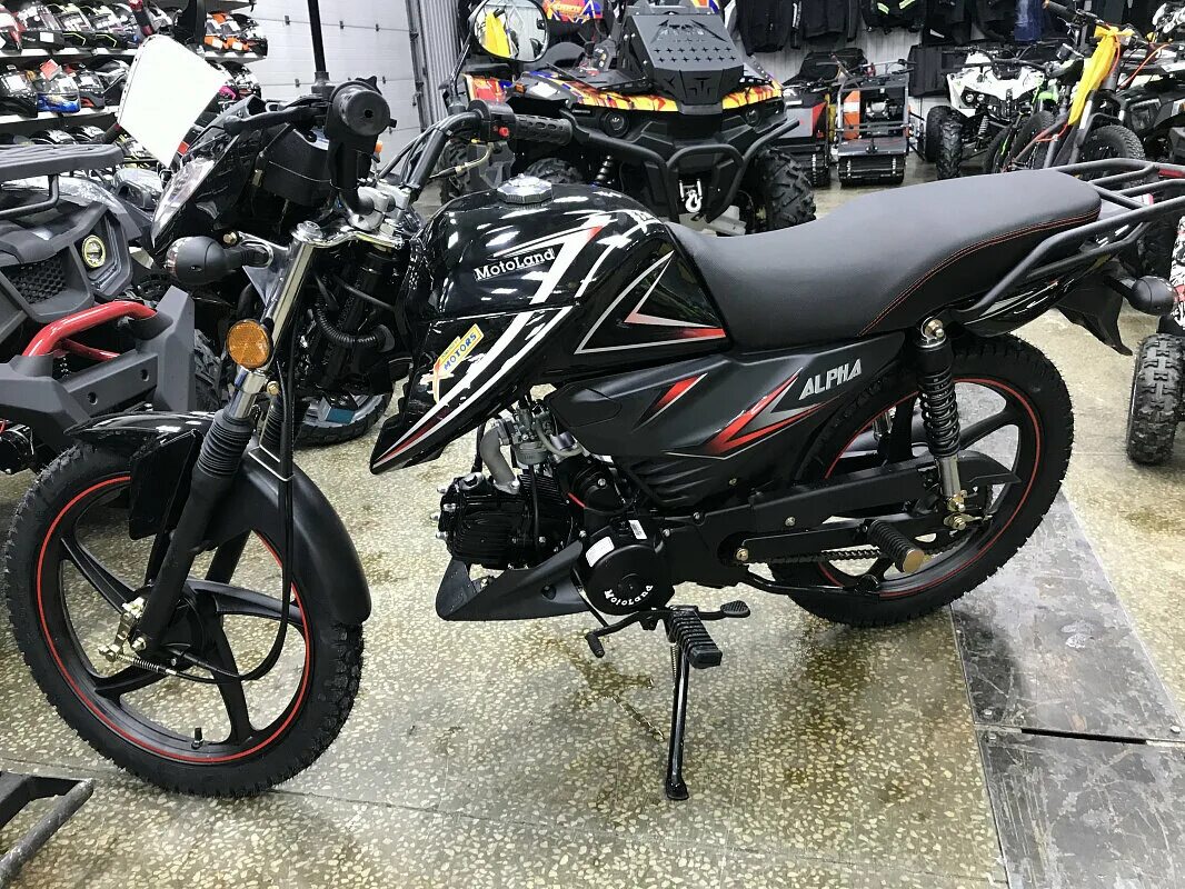 Альфа рф11. Мопед Альфа RF 125 Pro-Sport. Мопед Альфа RF 11. Мопед Альфа RF 125. Мопед Motoland Альфа RF 11 черный.