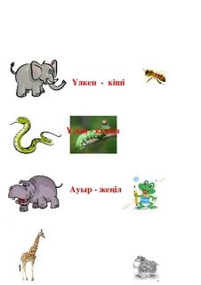 Менің шашы бар қайын енемнің видеосы