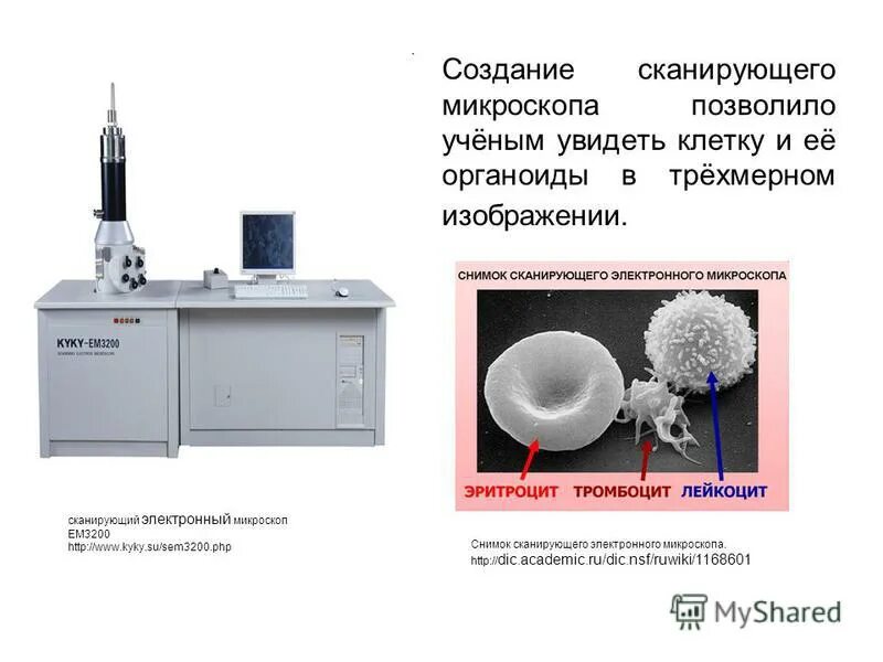 Dic academic ru ruwiki ru. Сканирующий электронный микроскоп. Растровый электронный микроскоп сталь. Появление электронной микроскопии позволило ученым.