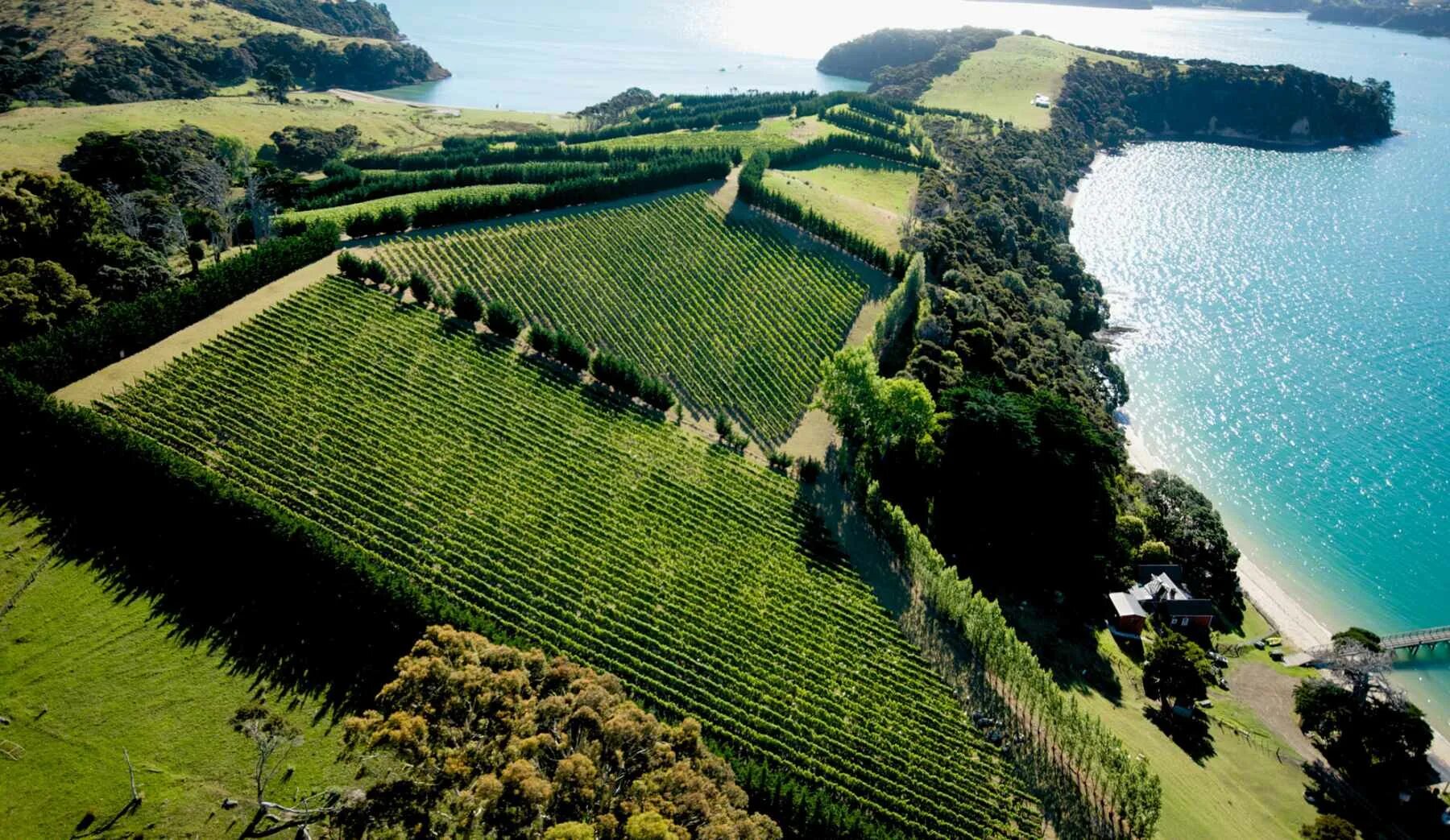 Промышленность новой зеландии. Виноградники Мальборо новая Зеландия. Долина Мальборо новая Зеландия. Винодельня новая Зеландия. Новая Зеландия Мальборо виноградники Терруар.