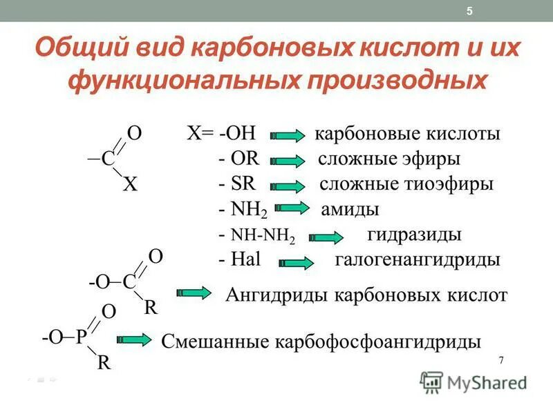 Производные карбоновых кислот 10 класс