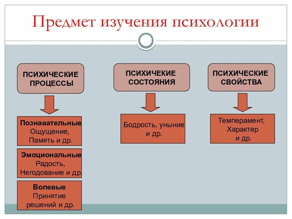 Какая наука изучает психологию. Что изучает психология кратко. Что изучает психология как наука кратко. Предмет психологии. Психология изучает психические процессы.