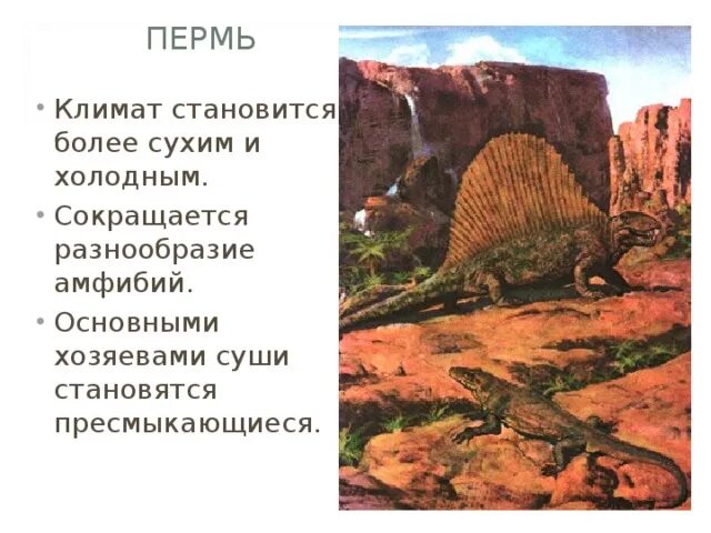 Ароморфозы мезозоя. Мезозойская эра растения. пермский период климат. ароморфозы палеозоя. ароморфозы палеозойской эры.