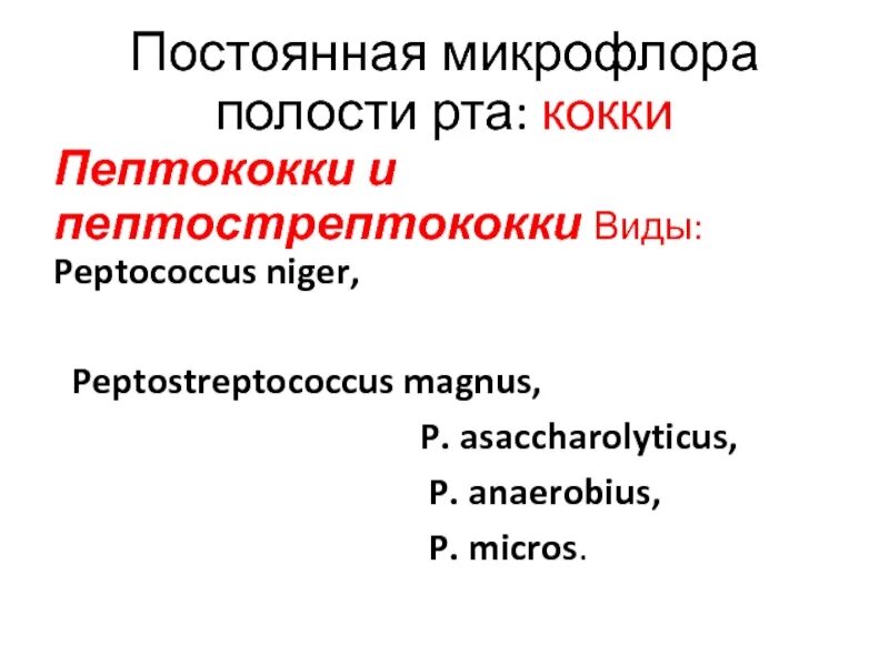 Peptostreptococcus. Пептострептококки микробиология. Грамположительные кокки: Peptococcus, Peptostreptococcus.. Пептострептококки виды. Пептококки и пептострептококки.
