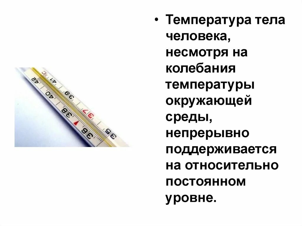 Температура тела. Температура человека. Температура тела человке. Нормальная температура тела. При изменении температуры тела изменяются