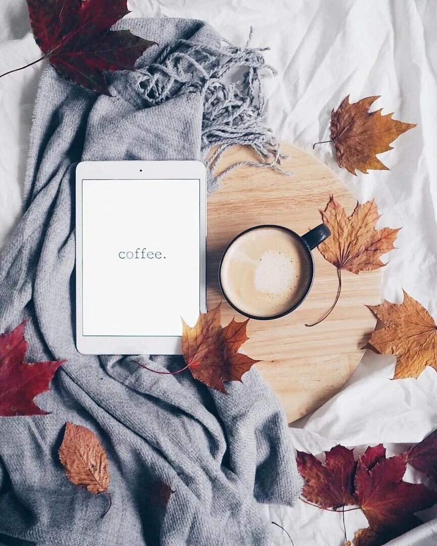 Креативные идеи с осенними листьями. Осенняя сторис. Сочи осень красиво. Флэтлэй осень. Осень инстаграмм.