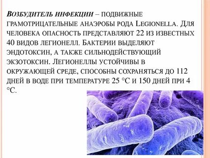 Возбудители бактериологических инфекций