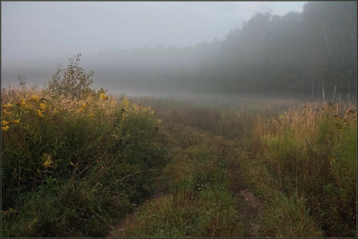 асафатов - туман. туманные надежды. туман композиция. туманище. туманные надежды.