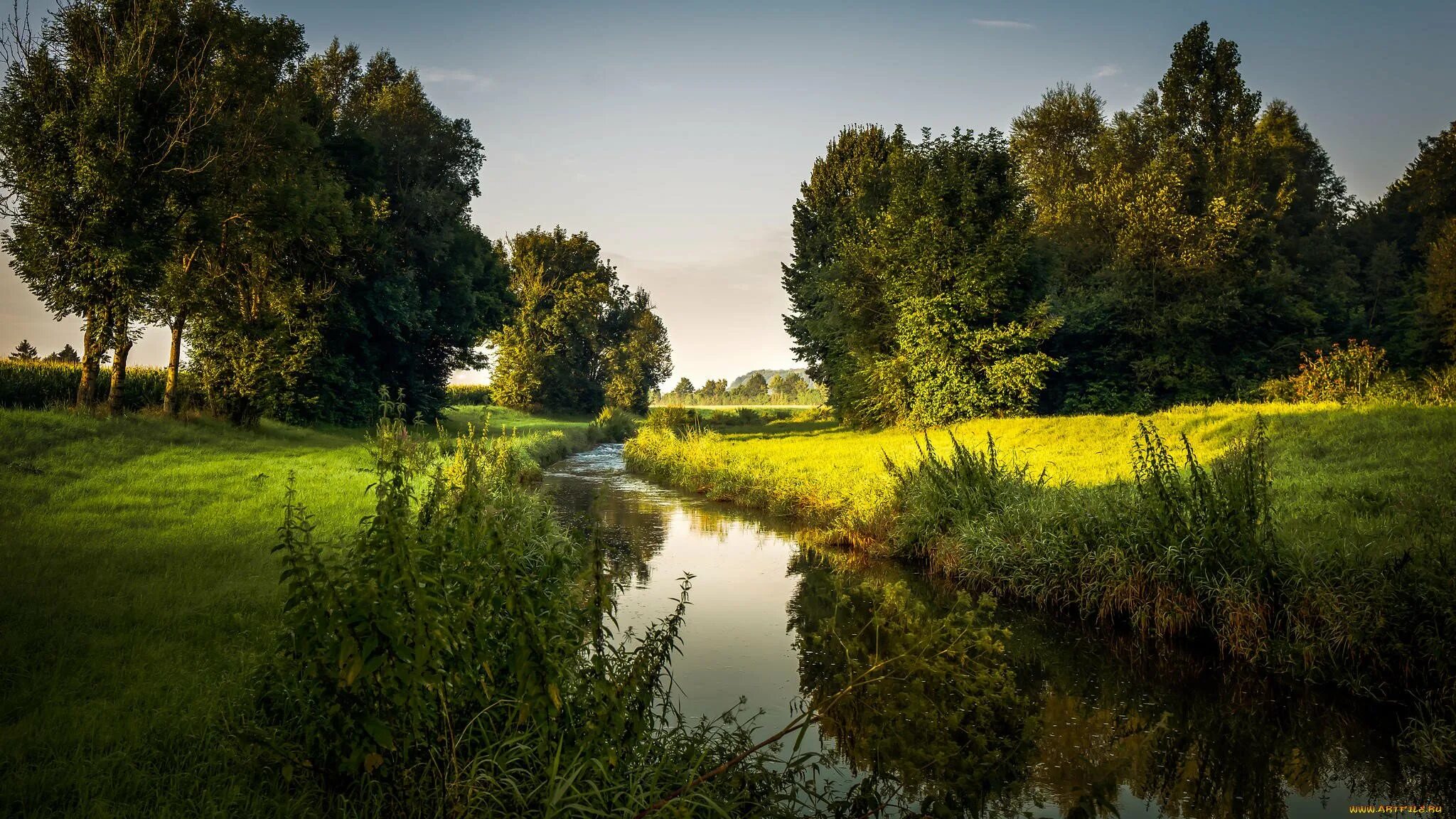 фото лета. южный шварцвальд озеро. природа. летний пейзаж. лето природа река.