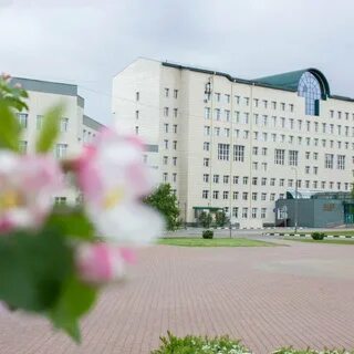 Сайт академия менеджмента