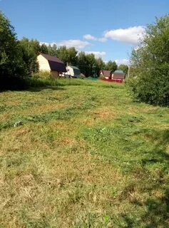 Авито московская область раменский