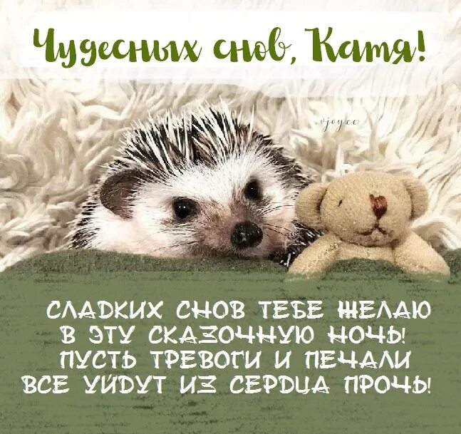 Прикольные пожелания спокойной ночи. Сладких снов прости. Сладких снов любимая. Спокойной ночи мужчине любимому. Открытки спокойной ночи.