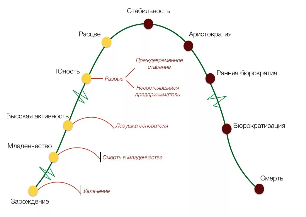 Жизненный цикл Адизеса схема. Этапы жизненного цикла организации по Адизесу. Модель Адизеса жизненный цикл организации. Ицхак Адизес жизненный цикл организации.