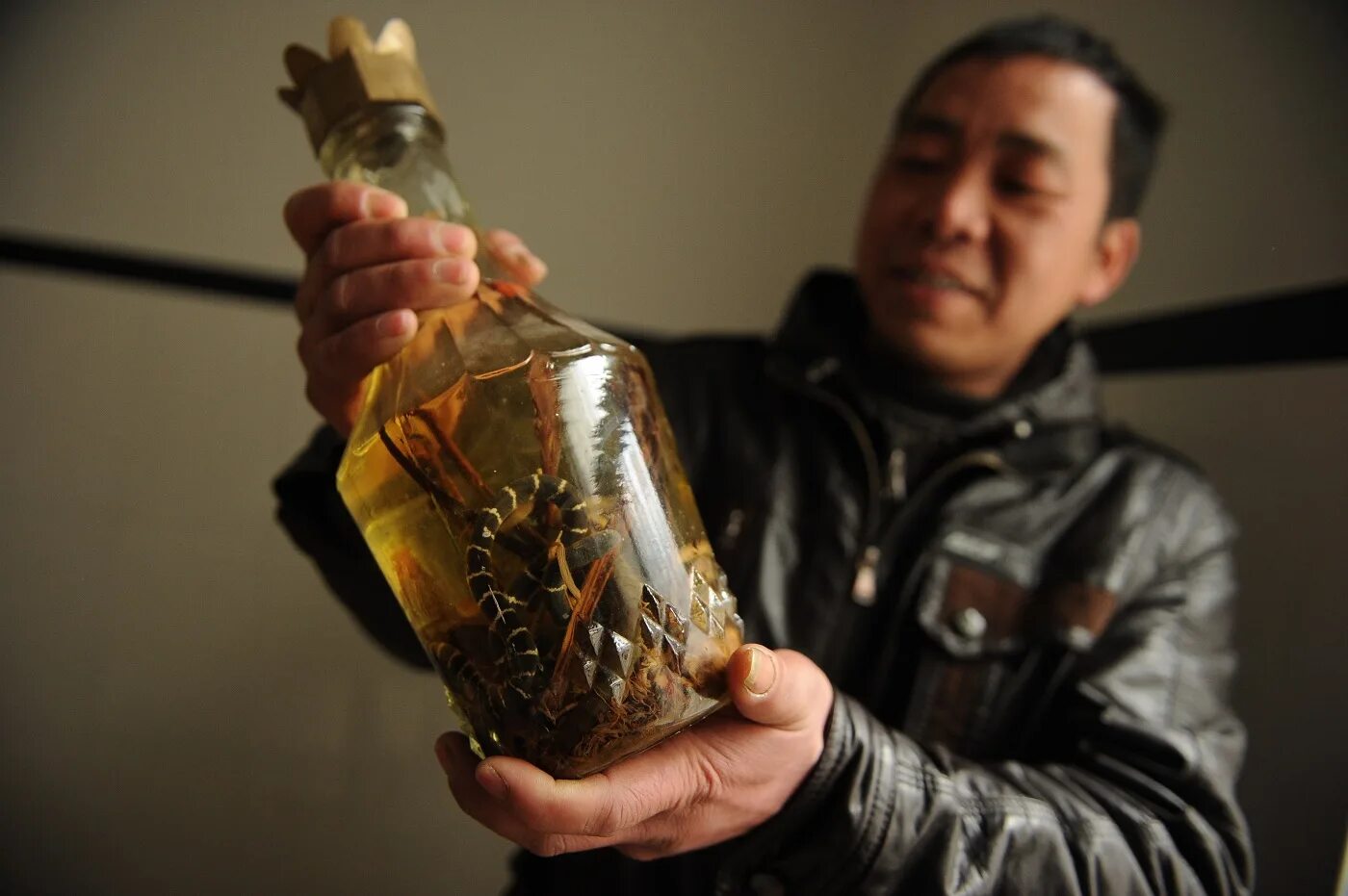 Настойка на змее. Змея в бутылке алкоголь Вьетнам. Алкоголь со змеей в бутылке. Бутылка Скорпион.
