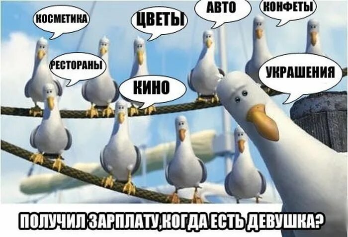 Кинь точки