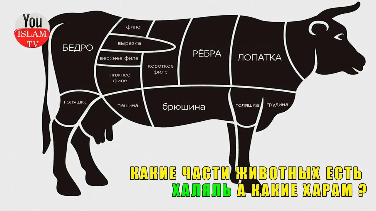 Можно есть конину мусульманам. Животные Халяль и харам. Мясо животных Халяль и харам. Халяльное мясо в Исламе. Животные Халяль и харам в Исламе.