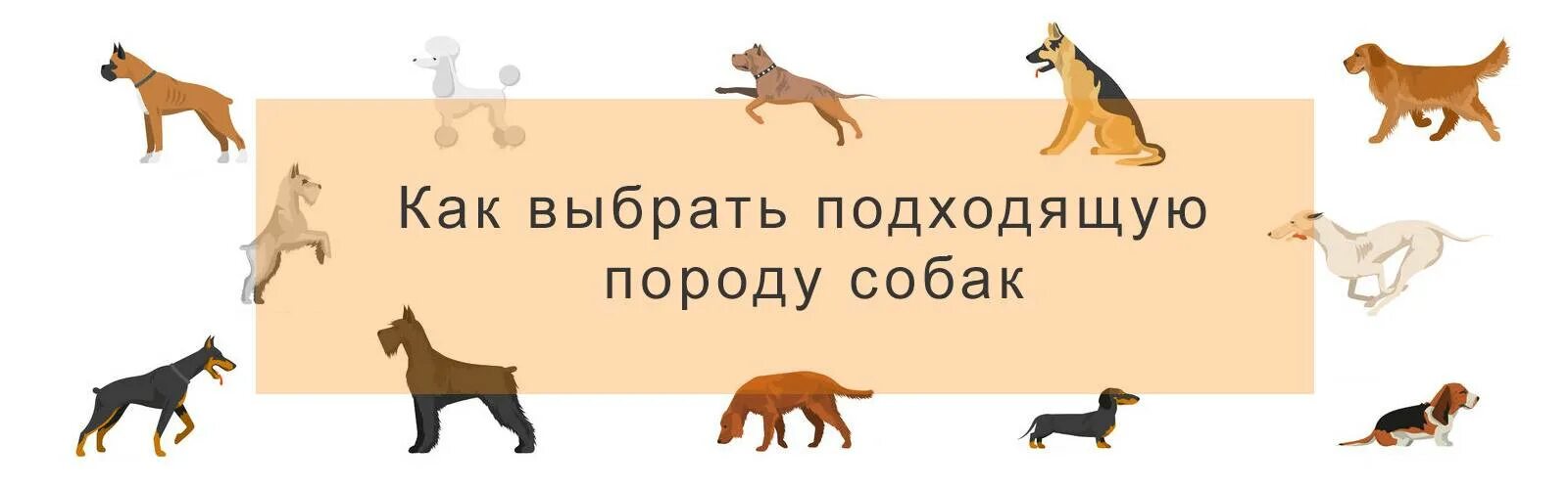 Порода собак подходящая по знаку зодиака. Средние породы собак классификация. Как выбрать подходящую породу. Популярные породы собак брошюра. Крупные и средние породы собак вес.