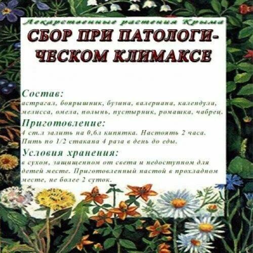 Травы от приливов и потливости при климаксе. Травяной сбор от полипов в желчном пузыре. Сборы трав при климаксе. Лекарственные травы при климаксе. Сбор трав от климакса.