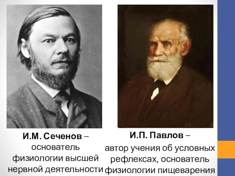 Наука о высшей нервной деятельности