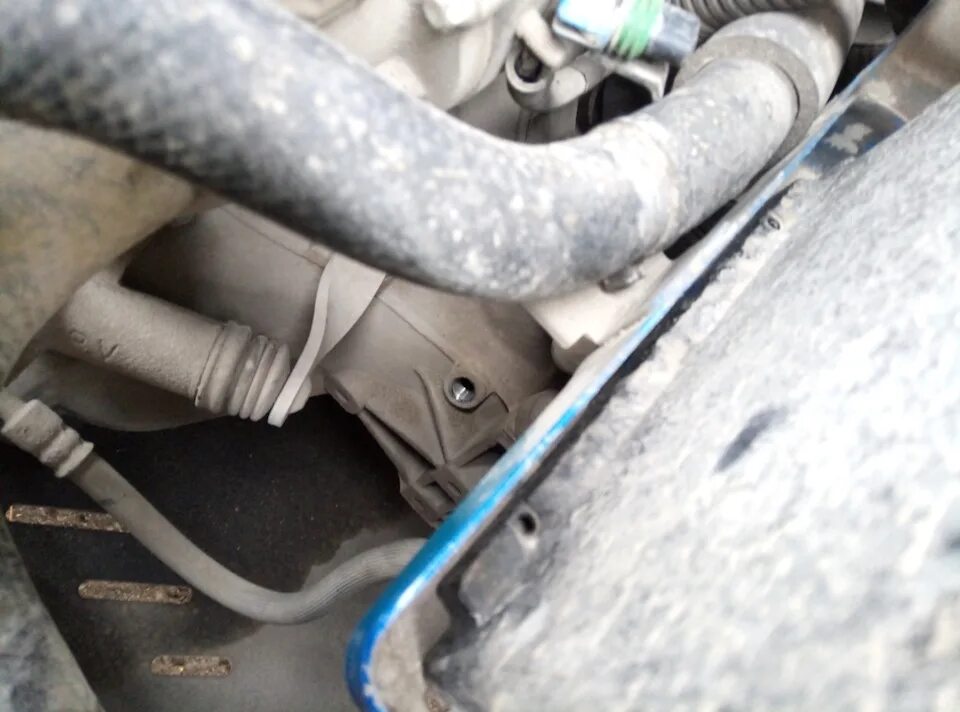 Датчик заднего хода aveo. Датчик заднего хода авео т200. Датчик заднего хода авео т300. Лампы фонарей заднего хода шевроле авео. Шевроле авео горит задний ход.