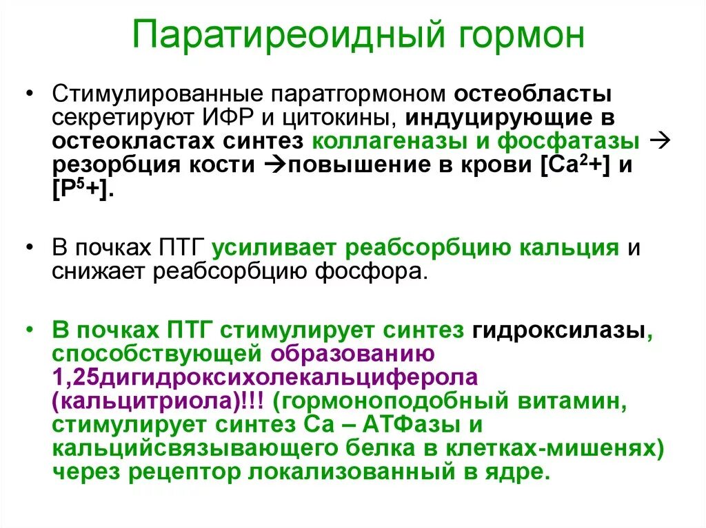 Паратгормон интактный. Паратирин гормон функции. Паратиреоидный гормон (паратгормон). Паратгормон функции гормона. Паратиреоидный гормон функции.